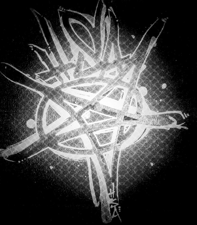 HSA666