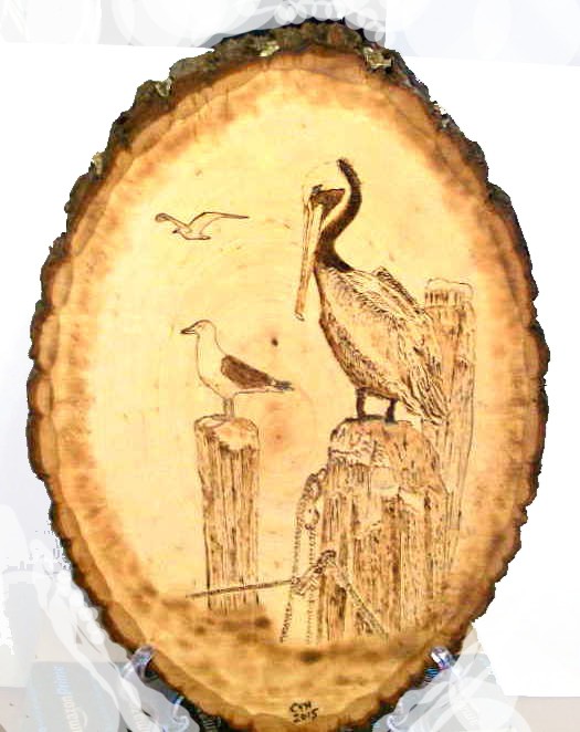 Pelican 1