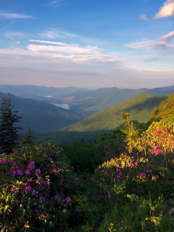 Near Asheville
