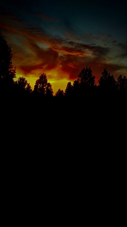 20200727 054025 HDR~2