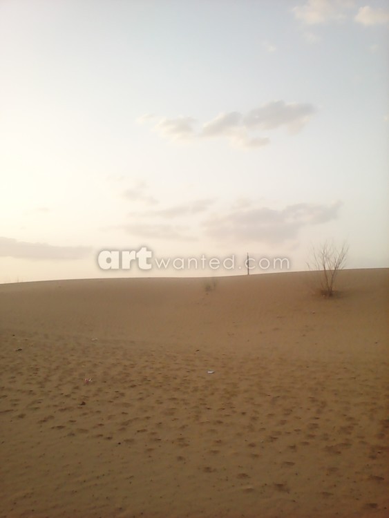 The desert art image 