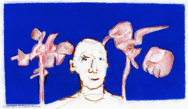 self portrait_15-5-22