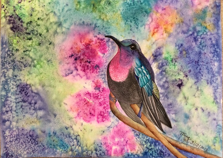 Hummingbird