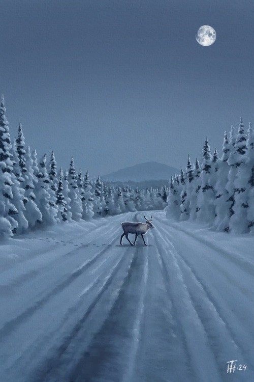 Crossing the Road