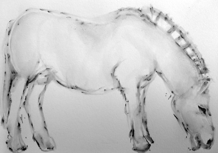 Tanita Drawing