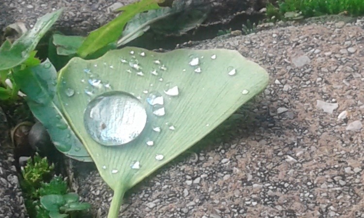 20201027 101120