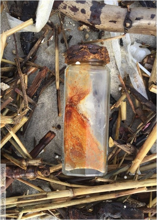 Beached brown-stained bottle
