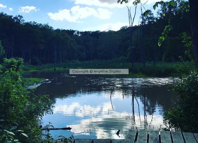Nature Hike