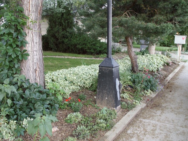 Garden Tour 