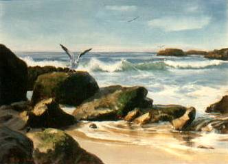 Gull Takeoff