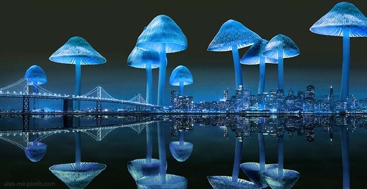 Surreal City