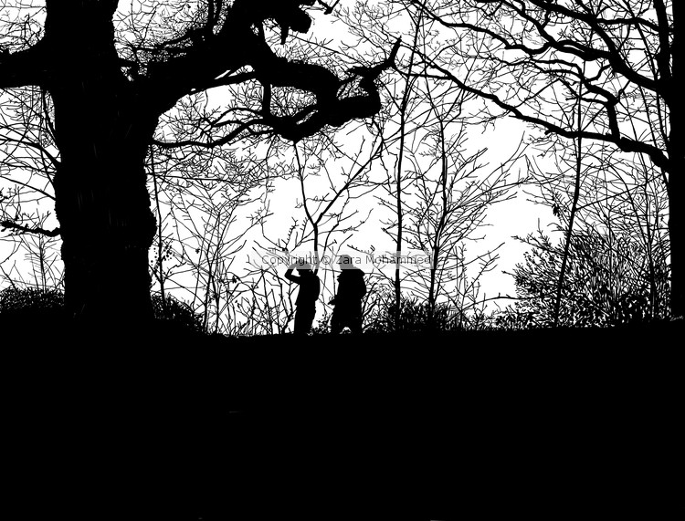 Walking On Hampstead Heath