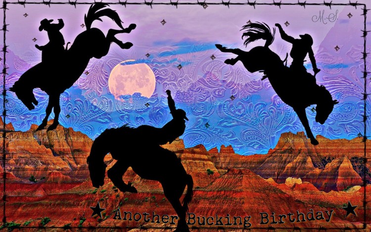a bucking goodtime!