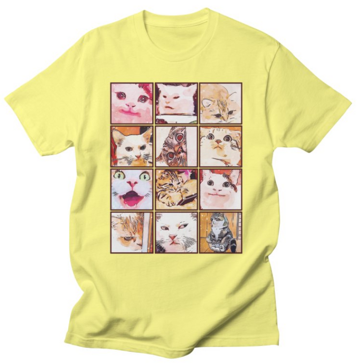 cat meme