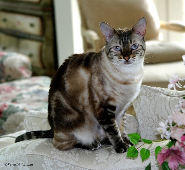 Marble