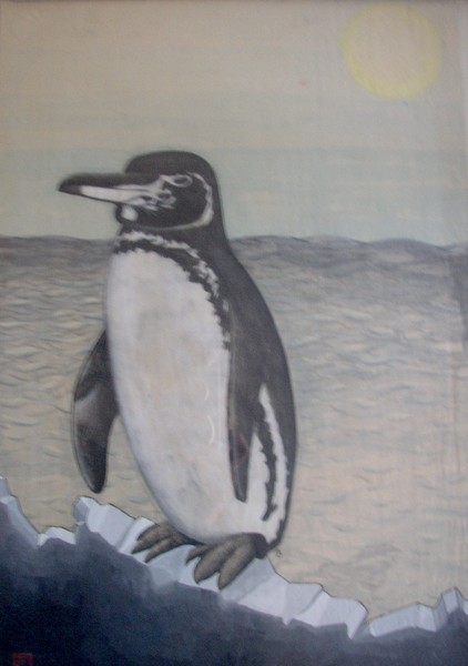 Seabird of the Southern Sea