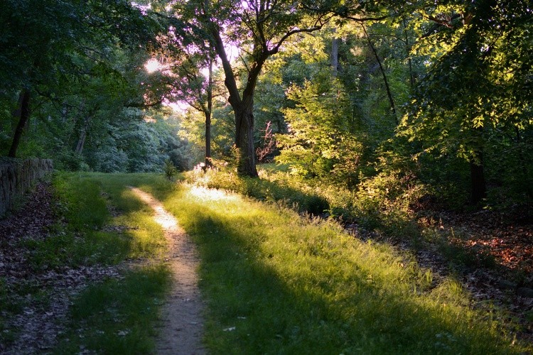Afternoon Glow