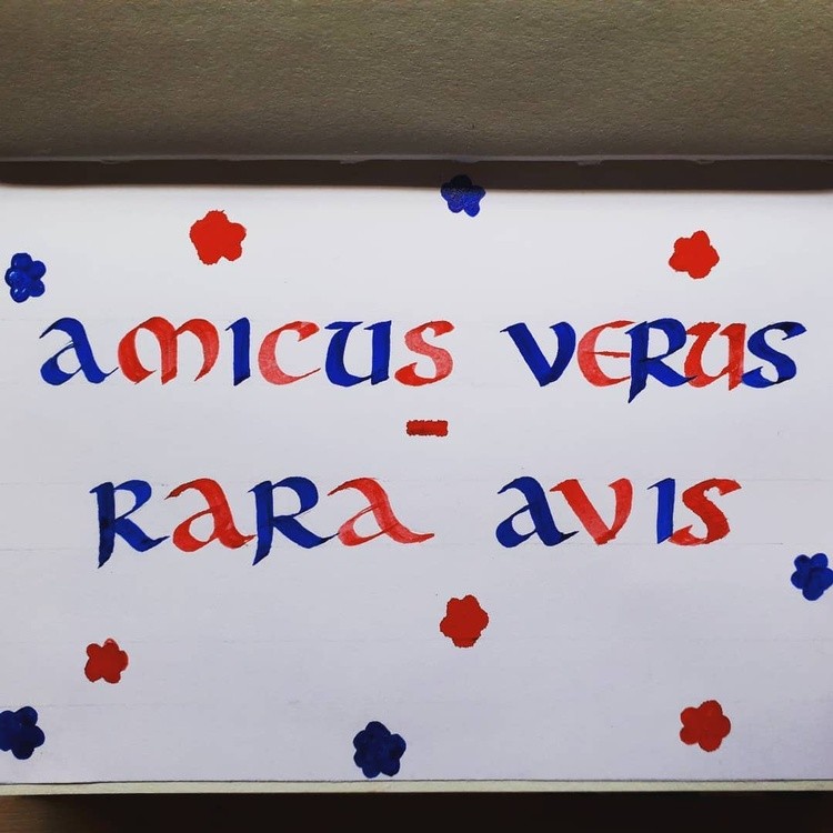 In English this quote sounds like A true friend is a rare bird or in Latin  it is Amicus verus rara 