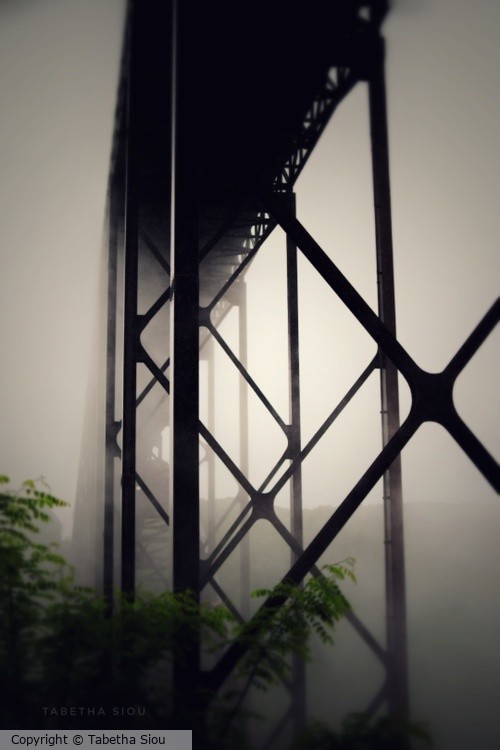 foggy bridge light 