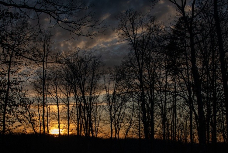 Sunset Southern Style