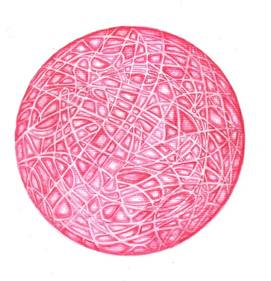 4501518443 e02da52f50 o