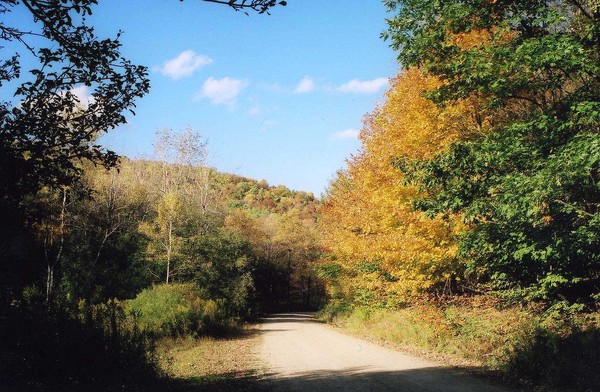 Fall scene with Blue Skies