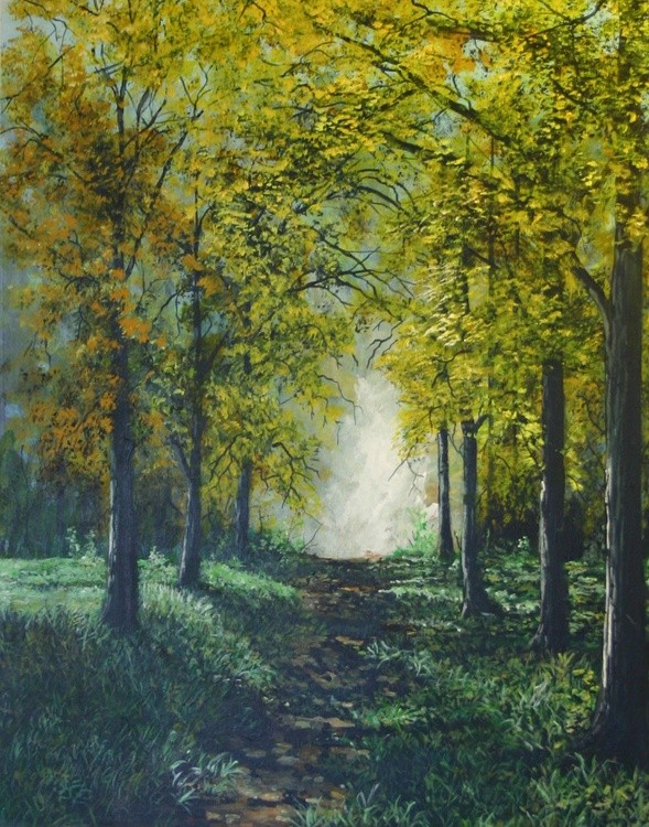 Old drive way
