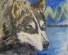 Snow Dog