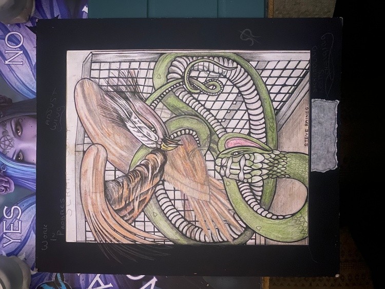 Eagle and snake mid fight