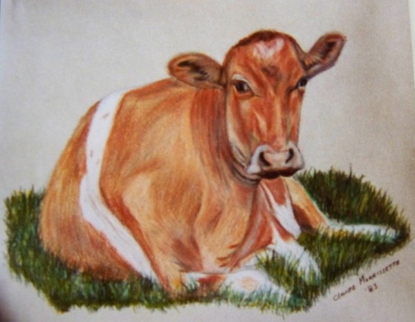 Resting Cow