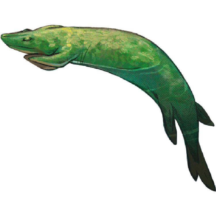 sleeping tiktaalik 
