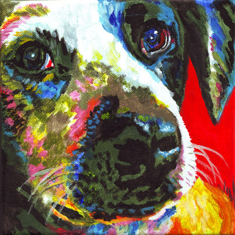 D206 dog