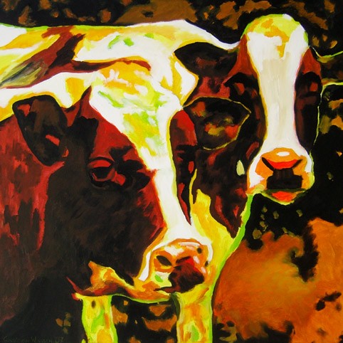 D235 cows 34