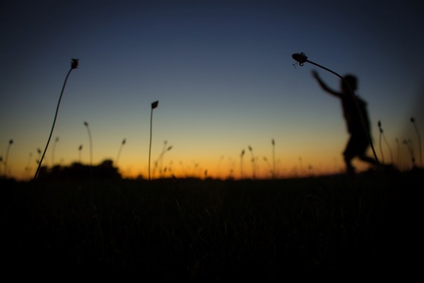Sunset Pixie (15)