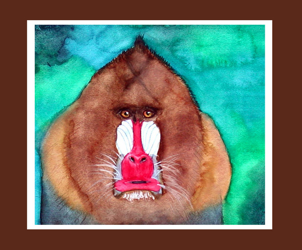 Monkey Shine