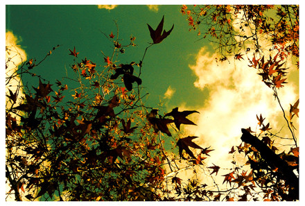 follow me to Heaven