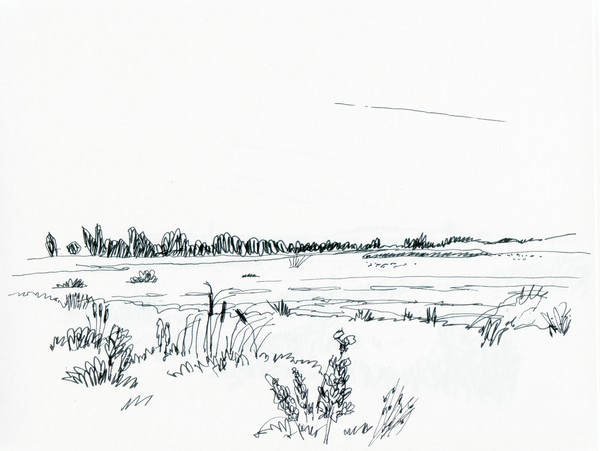 restored lake 3