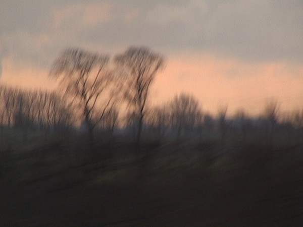 A Dutch Landscape