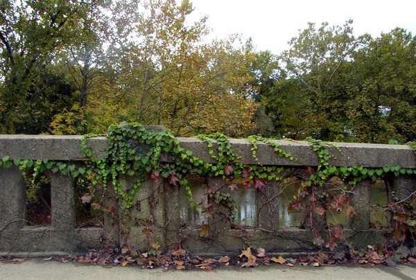 bridge over wheeling creek