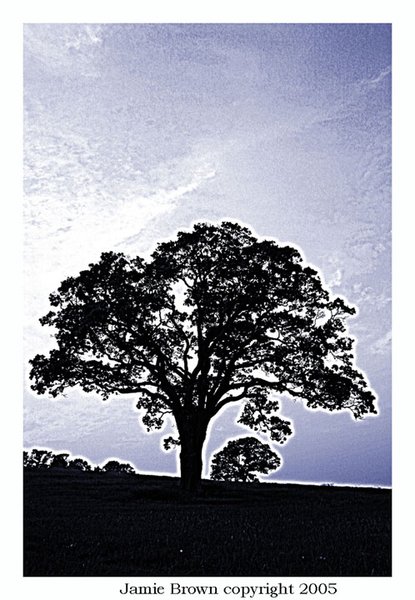 Blue Evening Sky