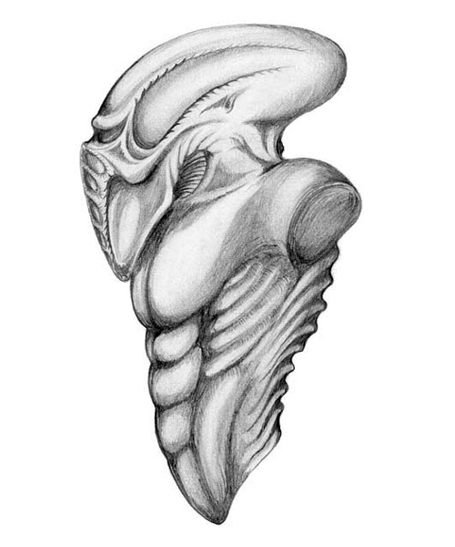 Torso 2 Illustration