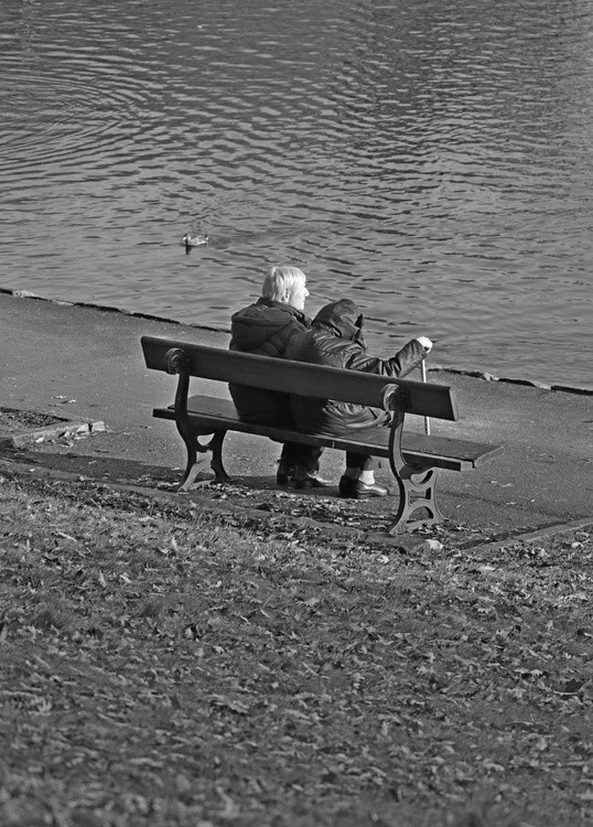 Retired Rest