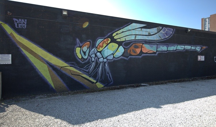 Dragonfly