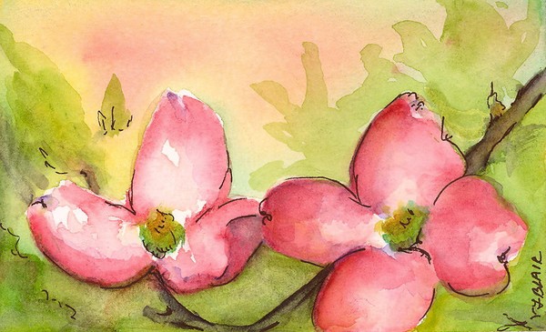 Dogwood Blossoms