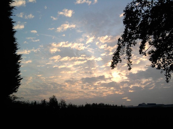This mornings sky.