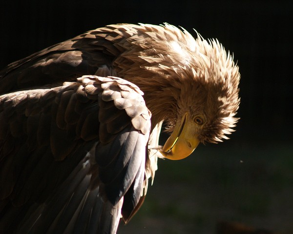 What's he thinking?