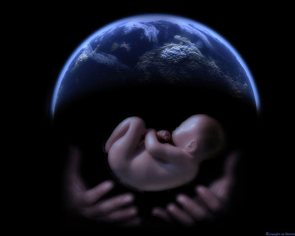 The Cradle of Life