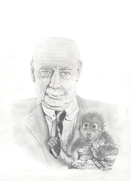 monkey man