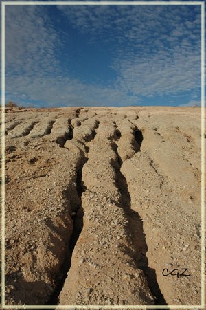 The Worm Skin of Mother Earth