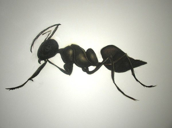 Nelson The Ant